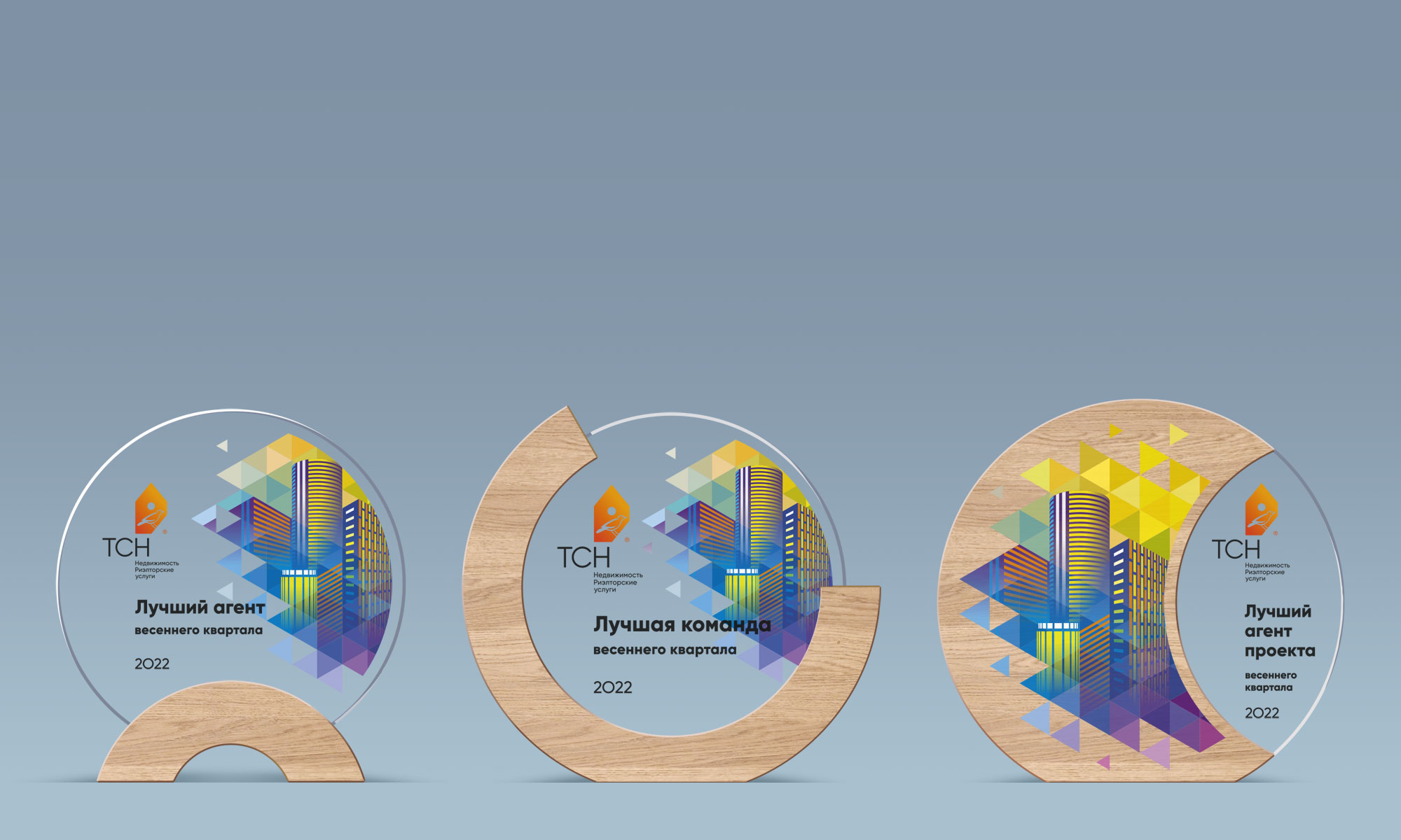 Награды &laquo;ТСН&nbsp;Недвижимость&raquo;