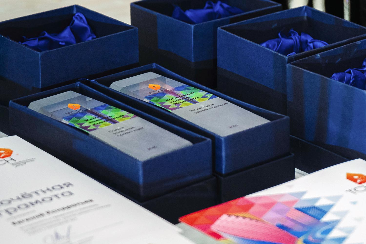 Награды «ТСН Недвижимость»