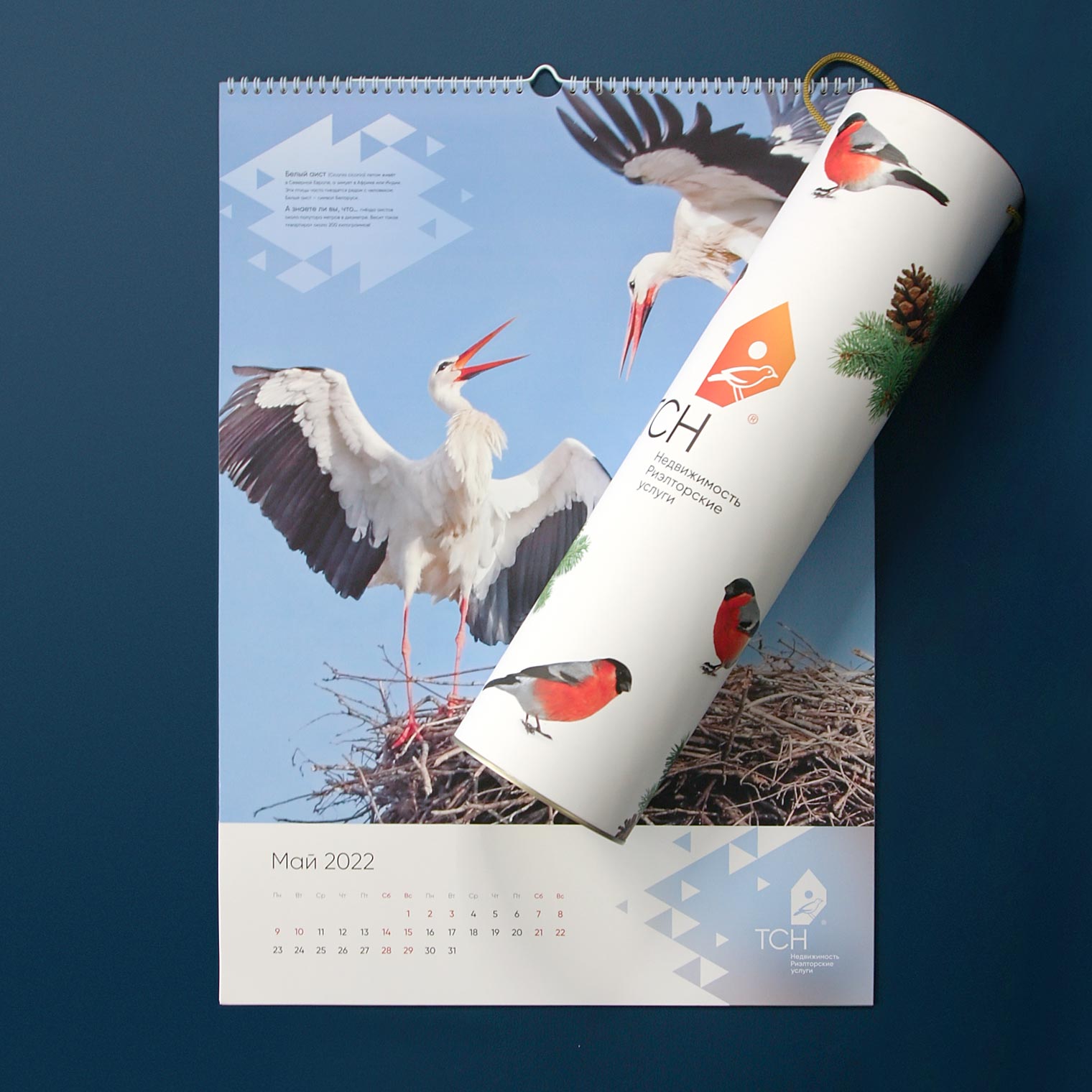 Календарь ТСН Недвижимости на 2022 г.