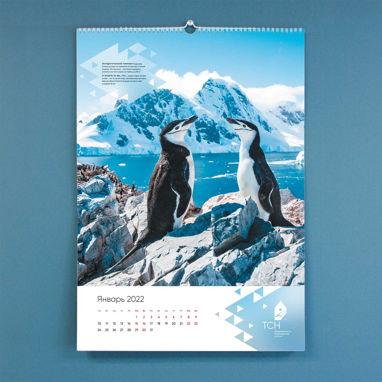 Календарь ТСН Недвижимости на 2022 г.