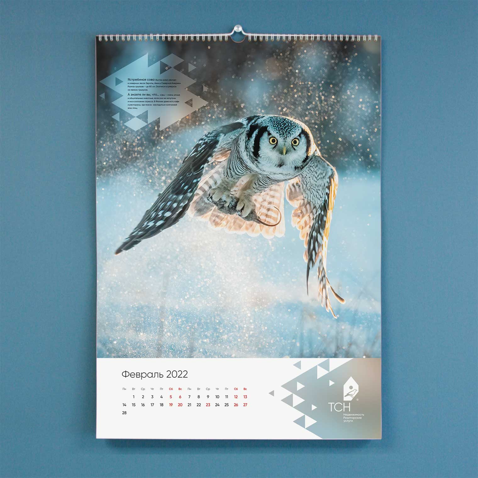 Календарь ТСН Недвижимости на 2022 г.