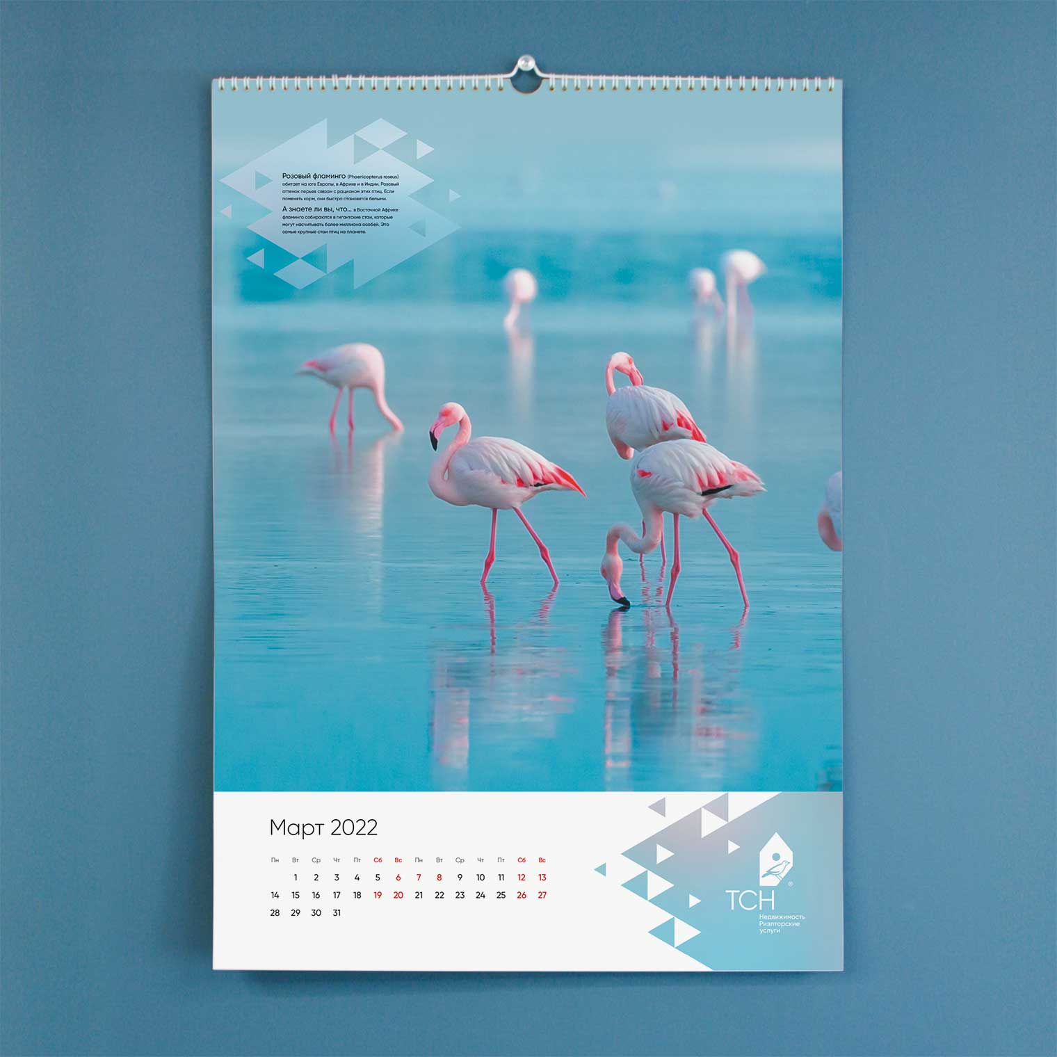 Календарь ТСН Недвижимости на 2022 г.