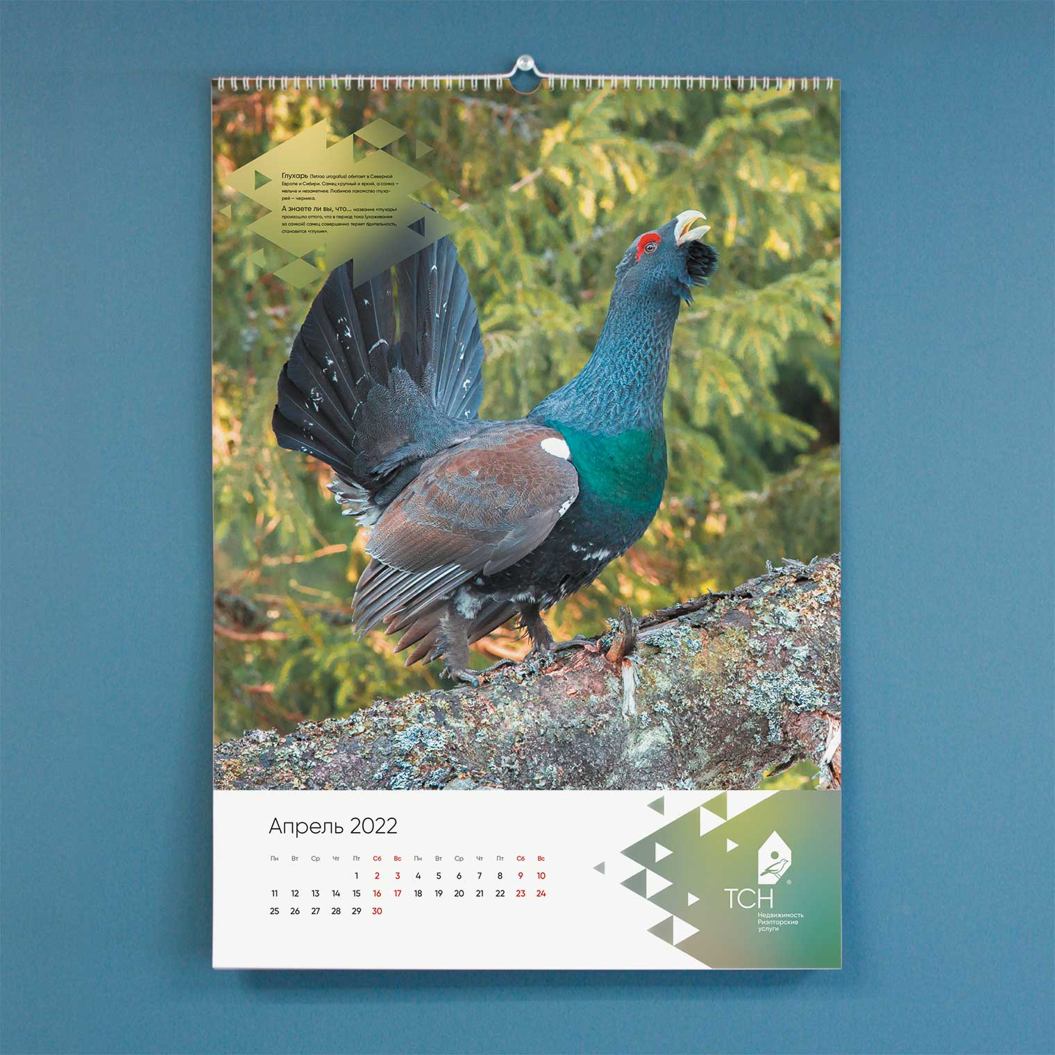 Календарь ТСН Недвижимости на 2022 г.