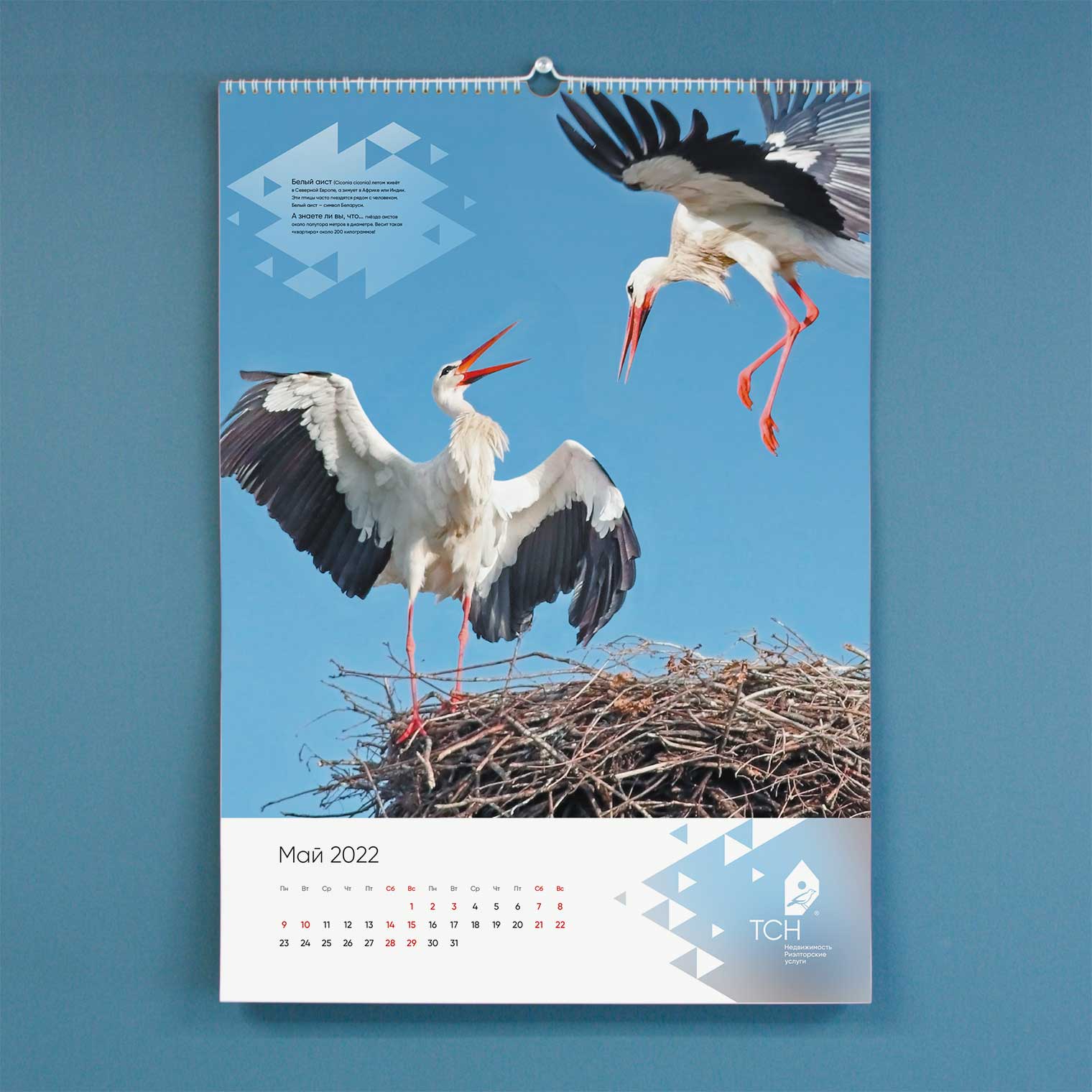 Календарь ТСН Недвижимости на 2022 г.