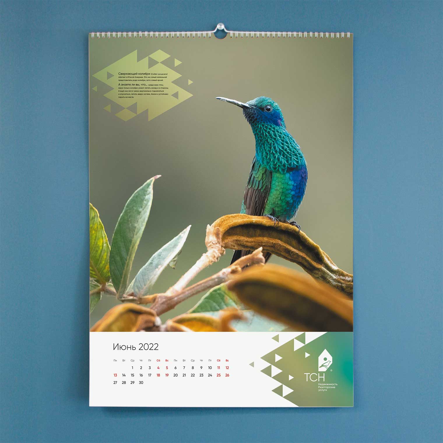 Календарь ТСН Недвижимости на 2022 г.