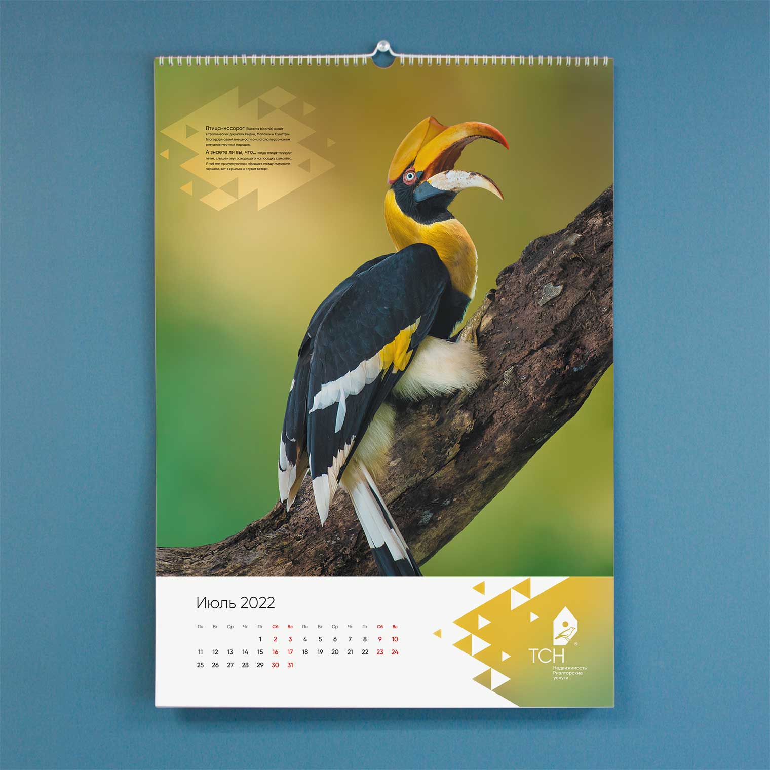 Календарь ТСН Недвижимости на 2022 г.