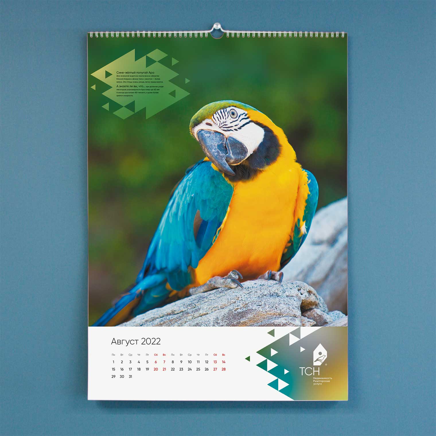 Календарь ТСН Недвижимости на 2022 г.