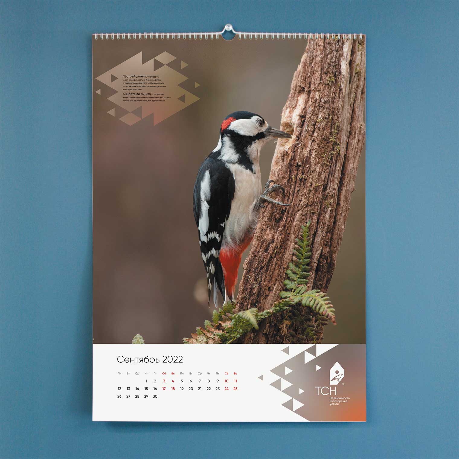 Календарь ТСН Недвижимости на 2022 г.