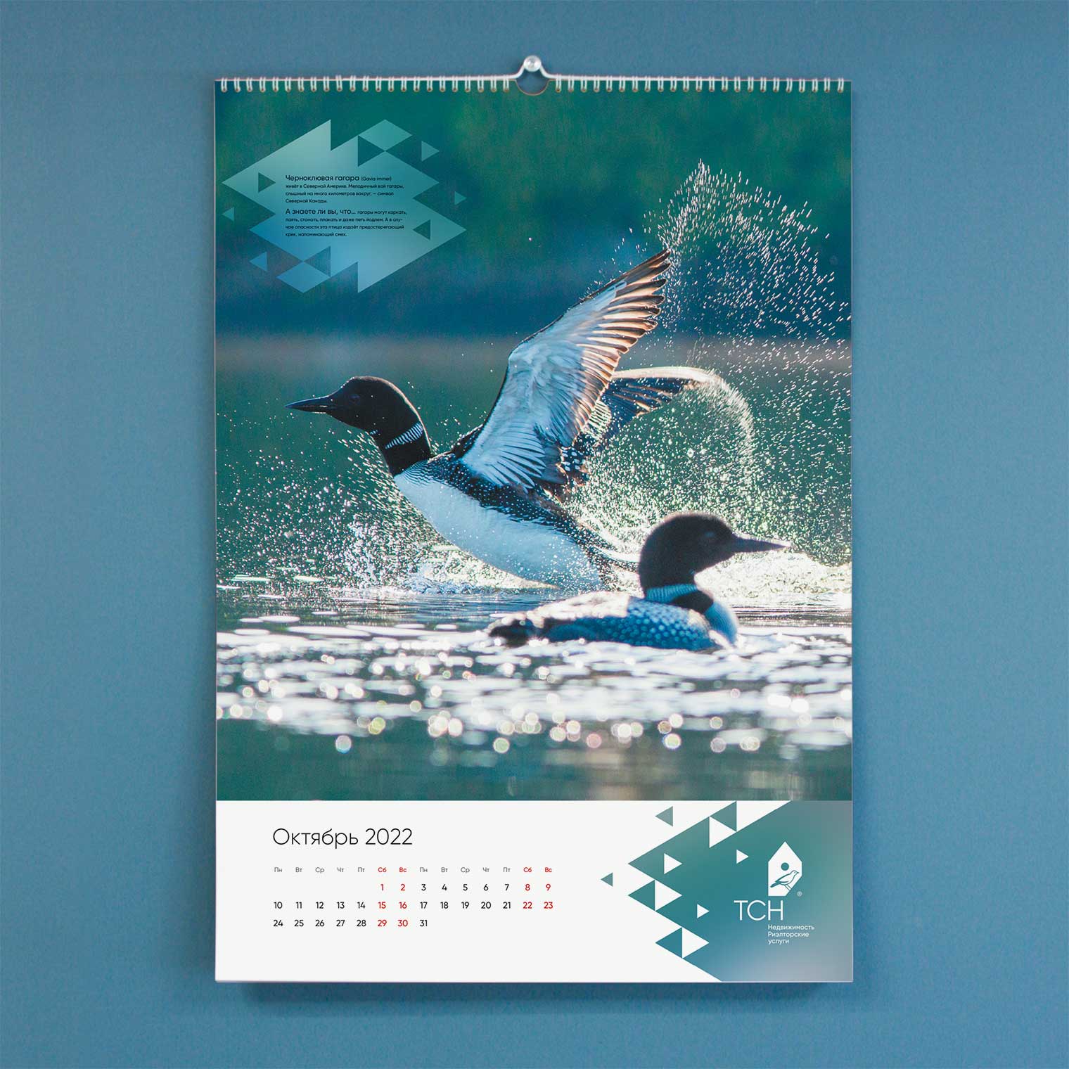 Календарь ТСН Недвижимости на 2022 г.