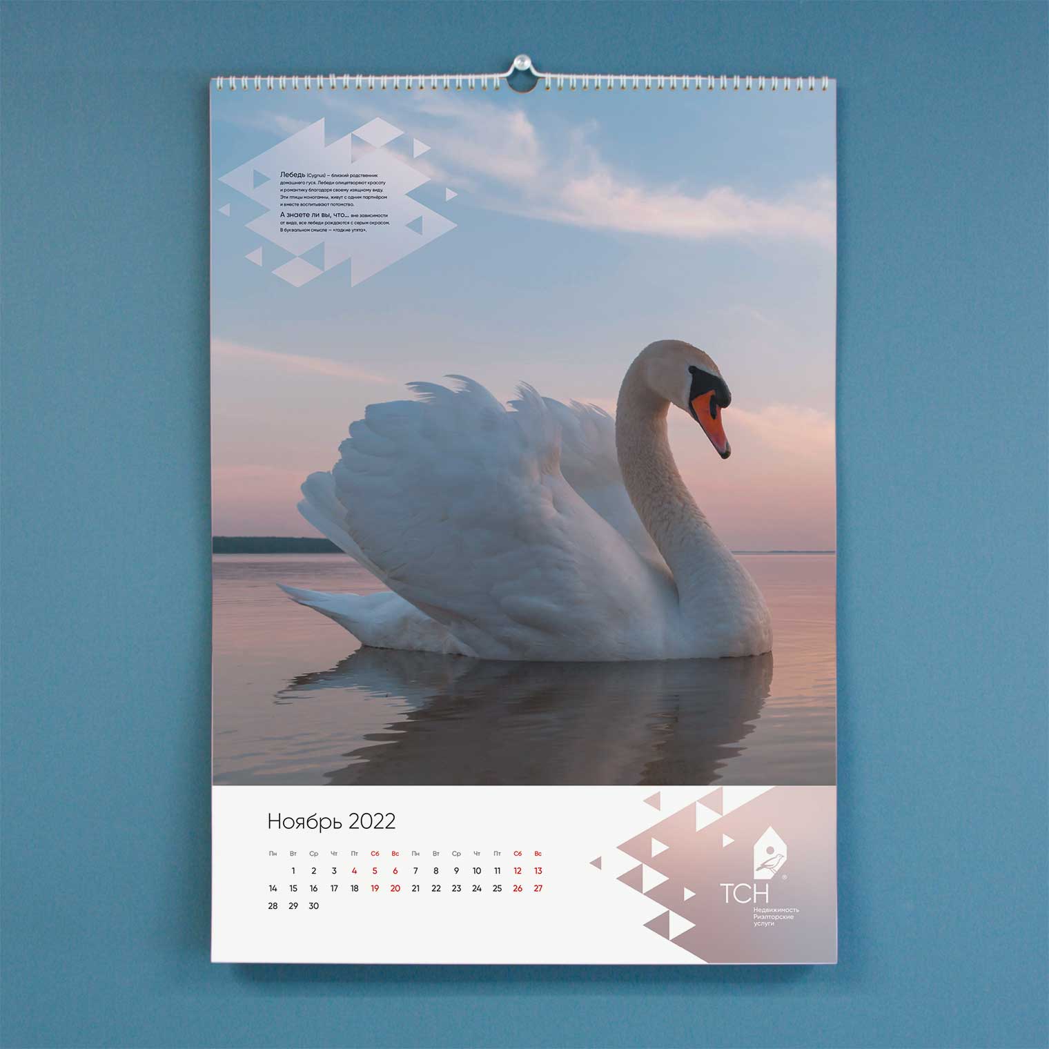 Календарь ТСН Недвижимости на 2022 г.