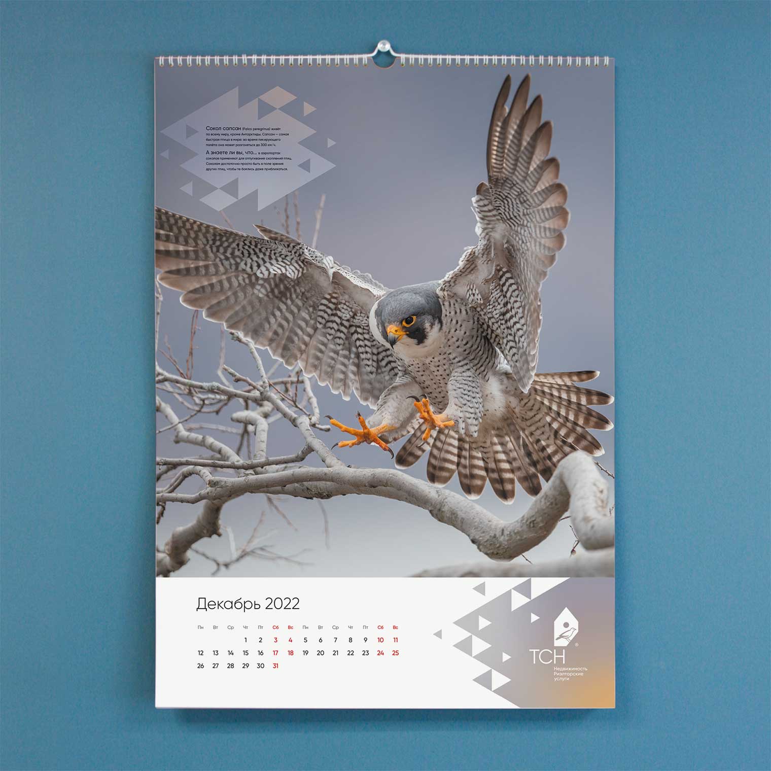 Календарь ТСН Недвижимости на 2022 г.