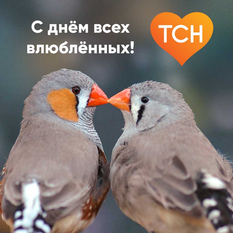 Корпоративная рассылка ТСН Недвижимости
